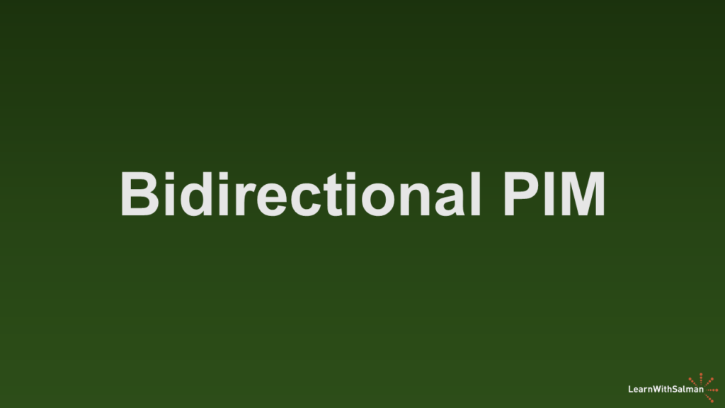 A dark shade of green background with "Bidirection PIM" in white title. A LearnWithSalman logo at the bottom right edge.
