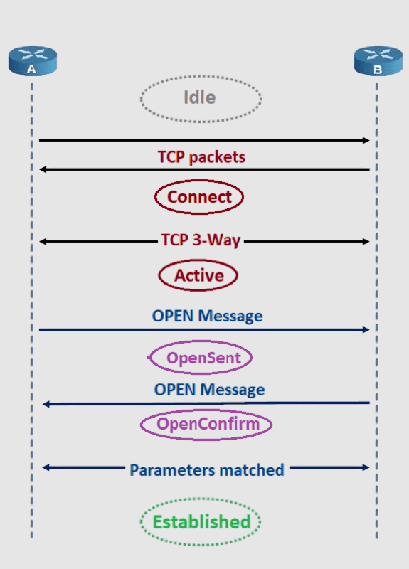 Diagram depicting the BGP session establishment process. Stages from top to bottom: Idle, Connect, TCP 3-Way, Active, OPEN Message, OpenSent, OPEN Message, OpenConfirm, Parameters matched, and Established. Two routers labeled A and B are shown on either side.